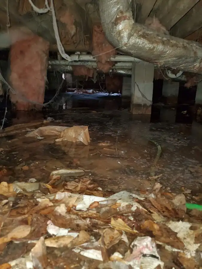 Crawl space flood assessment for Leak Detection & Repair in Athens